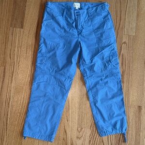 Sanctuary Women’s Cargo Pants in Blue